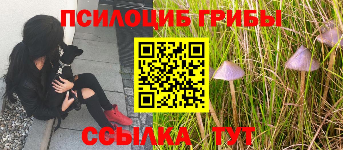 Галлюциногенные грибы мухоморы  Псилоцибиновые грибы Magic Shrooms  Вход с VPN  Алексеевка 